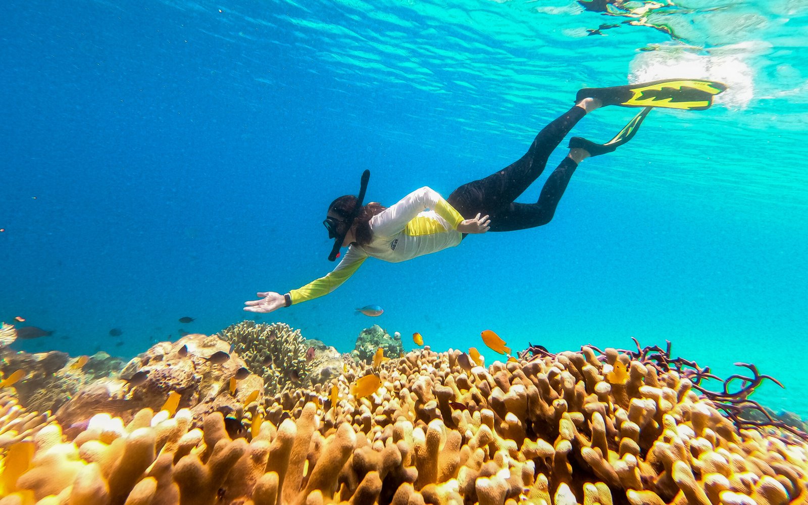 Aktivitas wisata laut