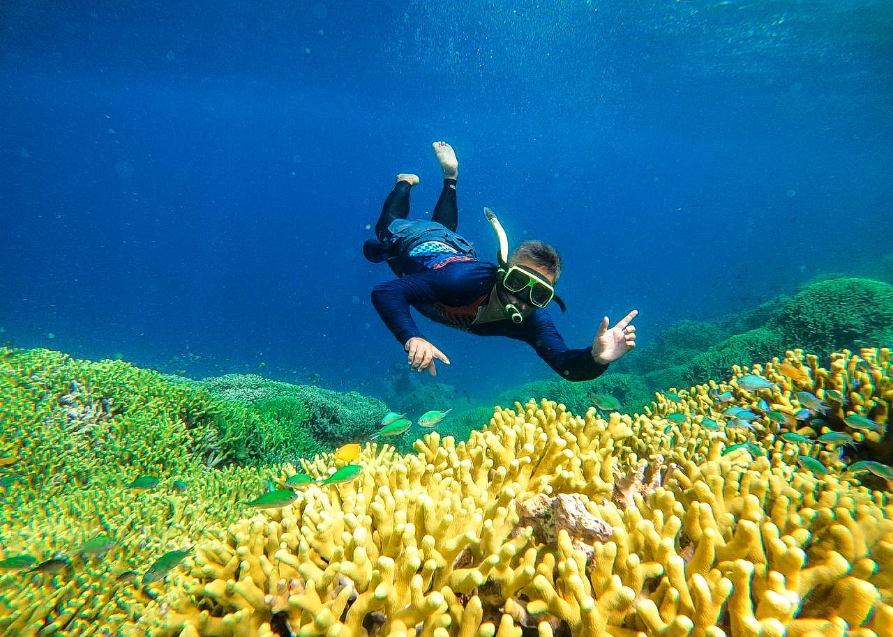 Taman terumbu karang Pulau Menjangan